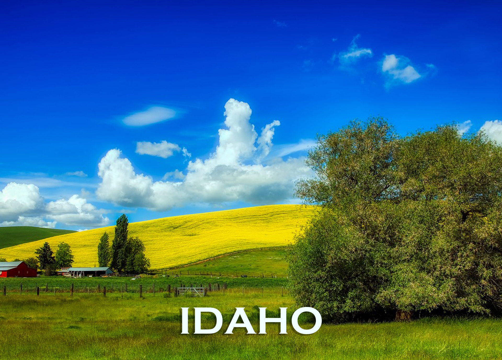 Idaho Real Estate