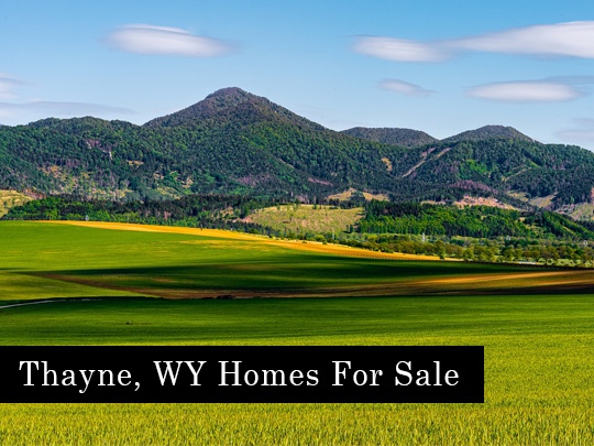 Thayne WY Homes For Sale