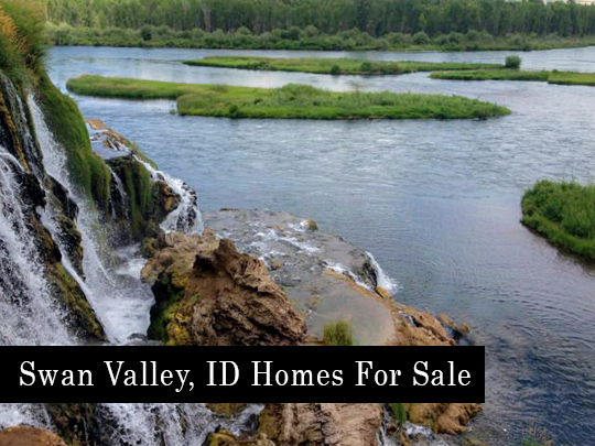 Swan Valley Idaho Homes For Sale